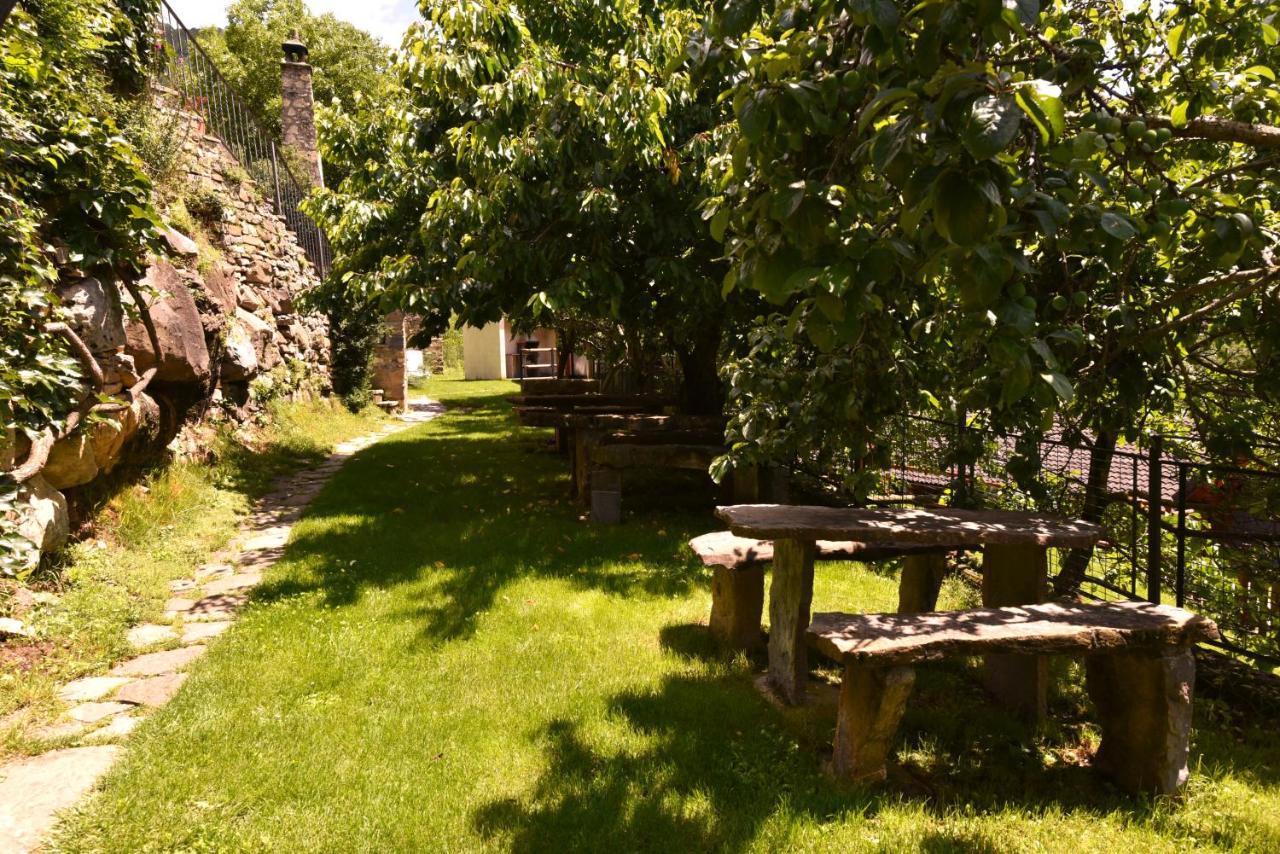 Balcon Del Pirineo Rural Ordesa Hotel Buesa Bagian luar foto